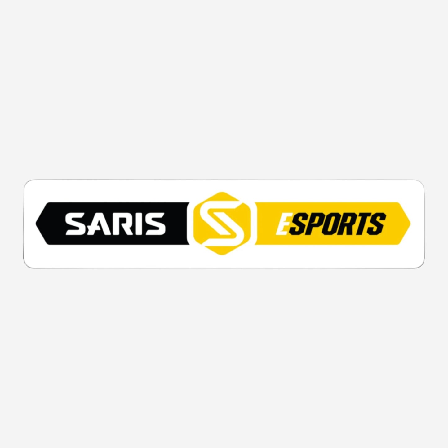 Saris Esports Vinyl Team Sticker